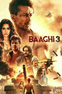 Baaghi 3